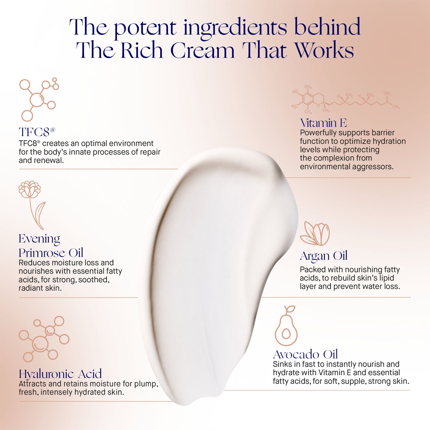 Augustinus Bader The Rich Cream - Image 5