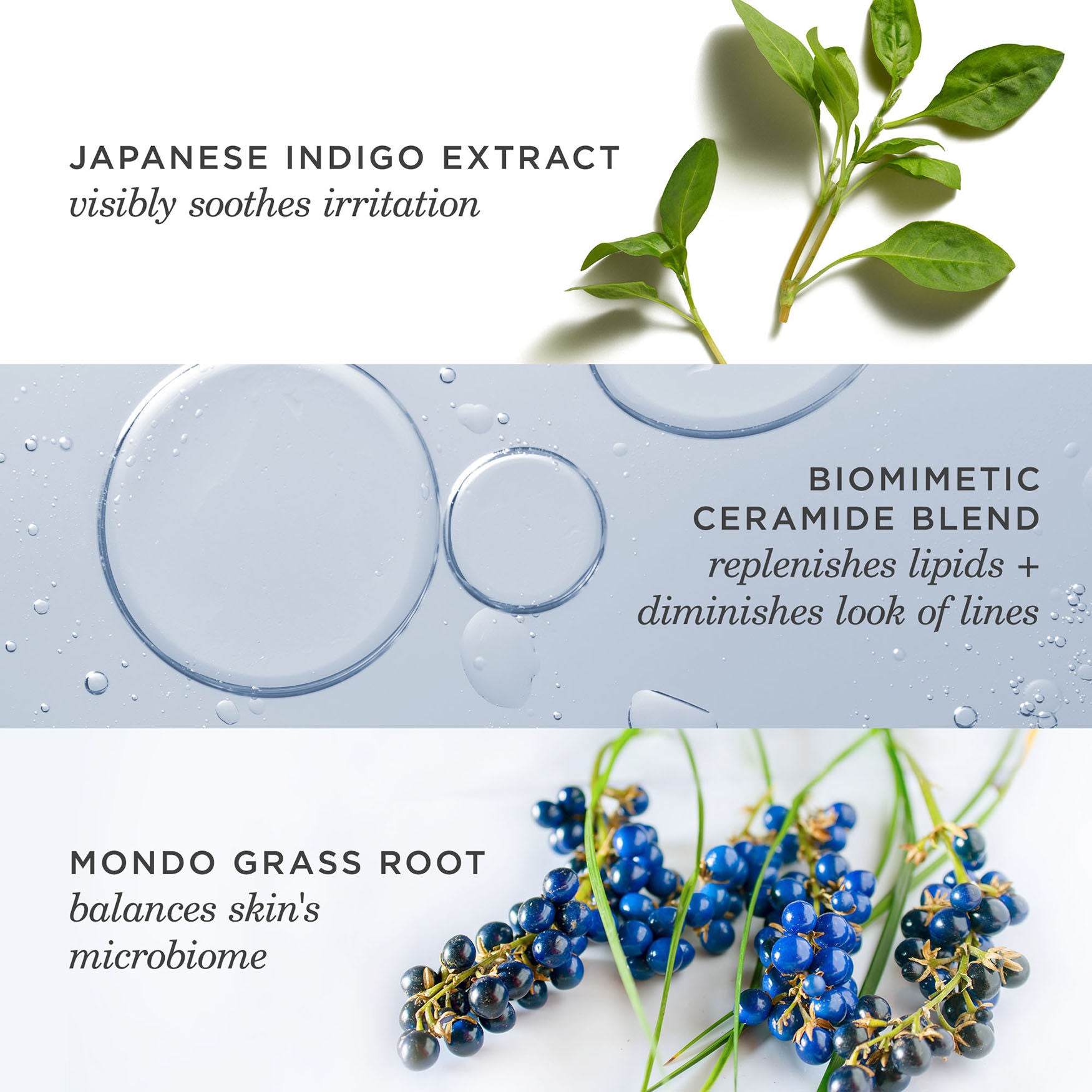 Tatcha Indigo Overnight Repair - Image 9