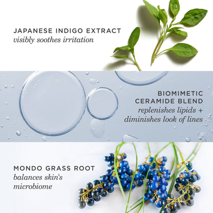 Tatcha Indigo Overnight Repair - Image 9