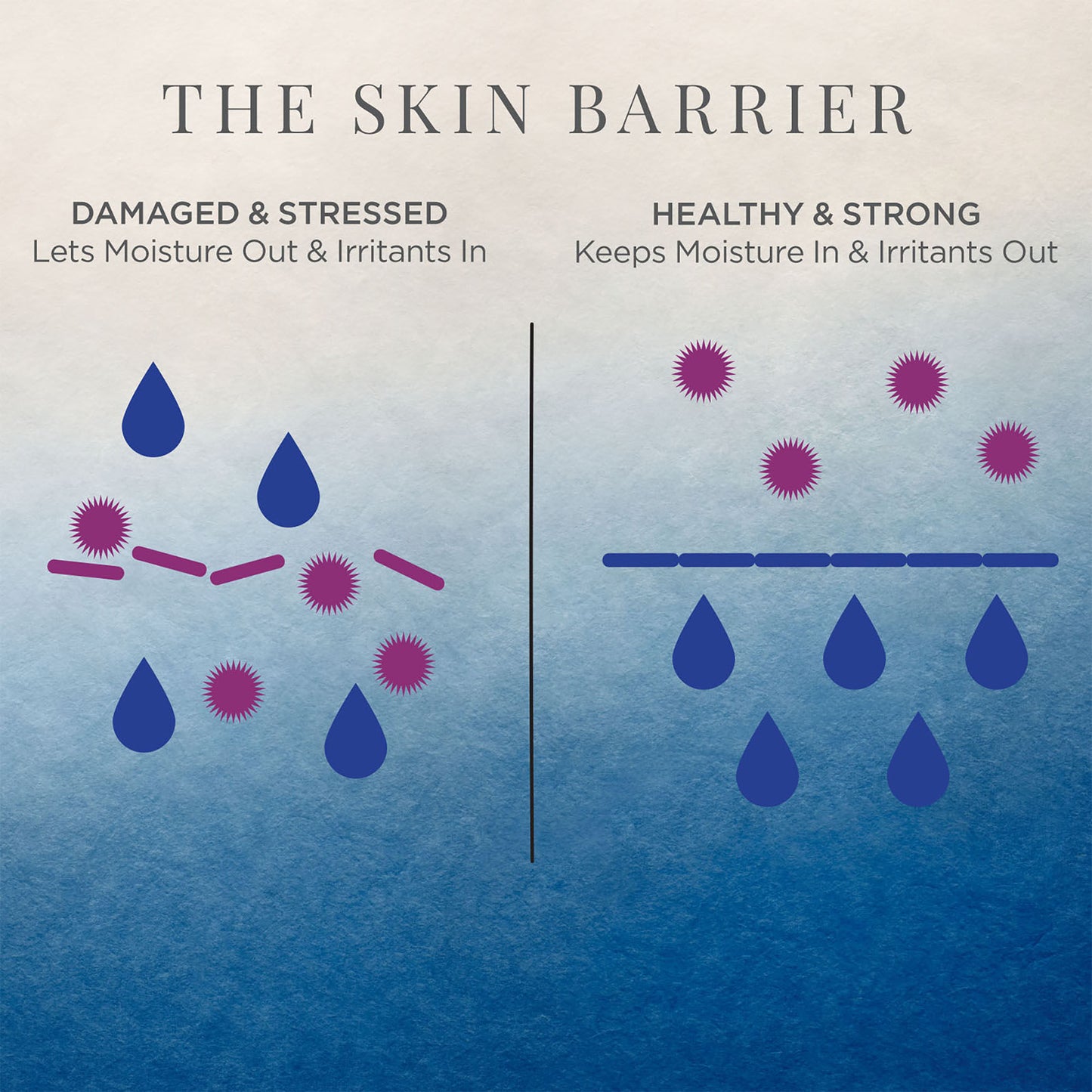 Tatcha Indigo Overnight Repair - Image 10