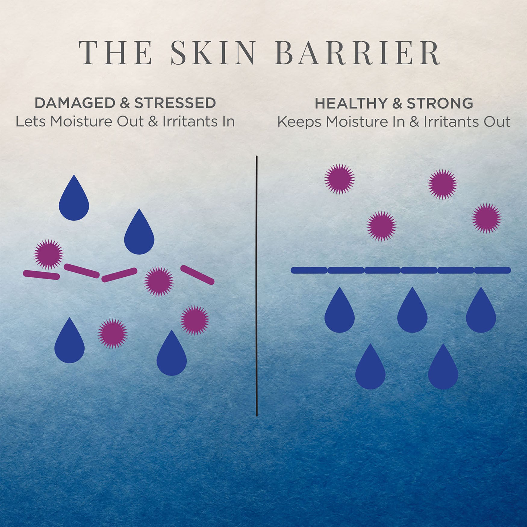 Tatcha Indigo Overnight Repair - Image 10