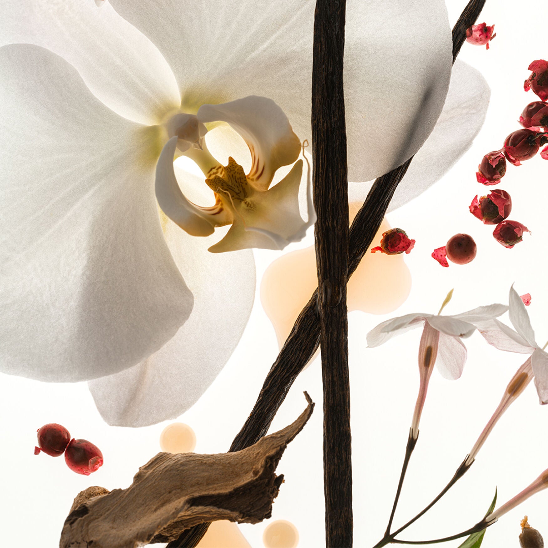 PHLUR Vanilla Skin Eau de Parfum - Application