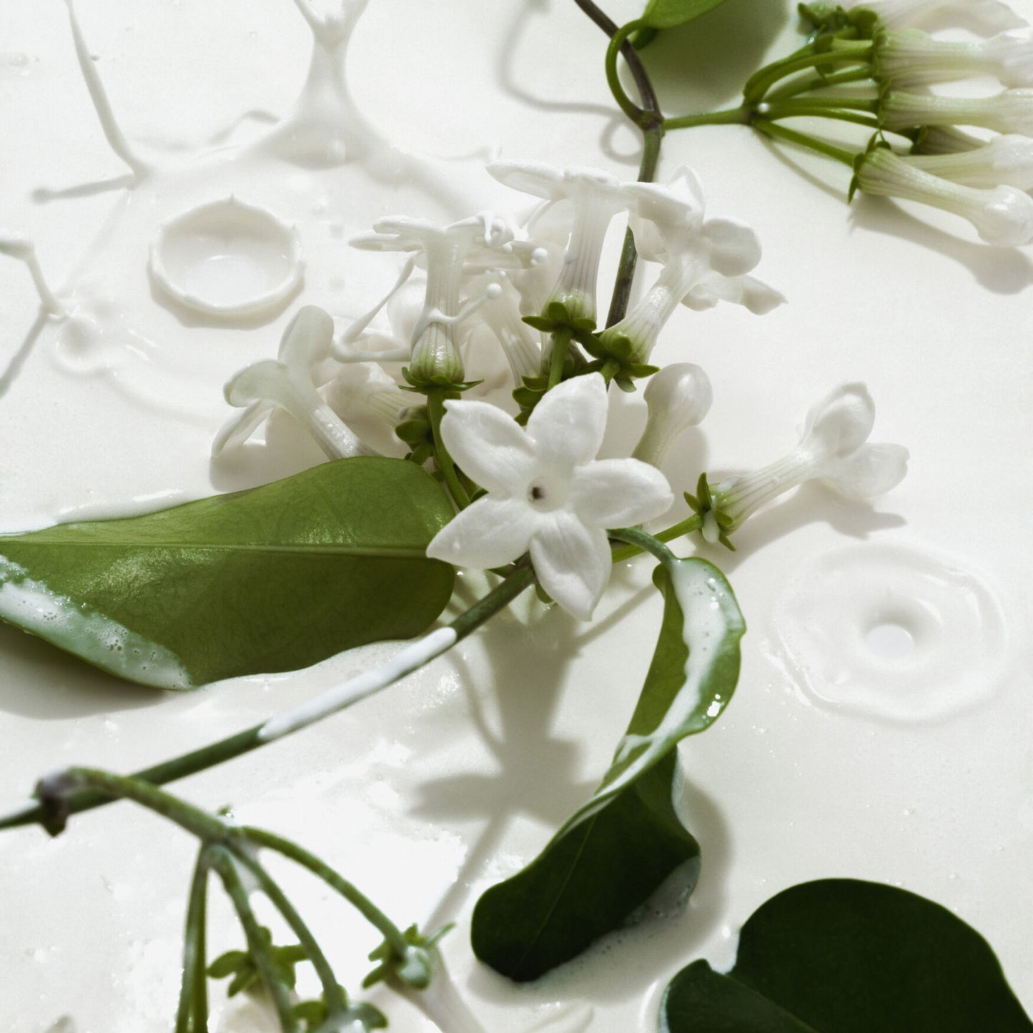 PHLUR Heavy Cream Body Mist - Image 4
