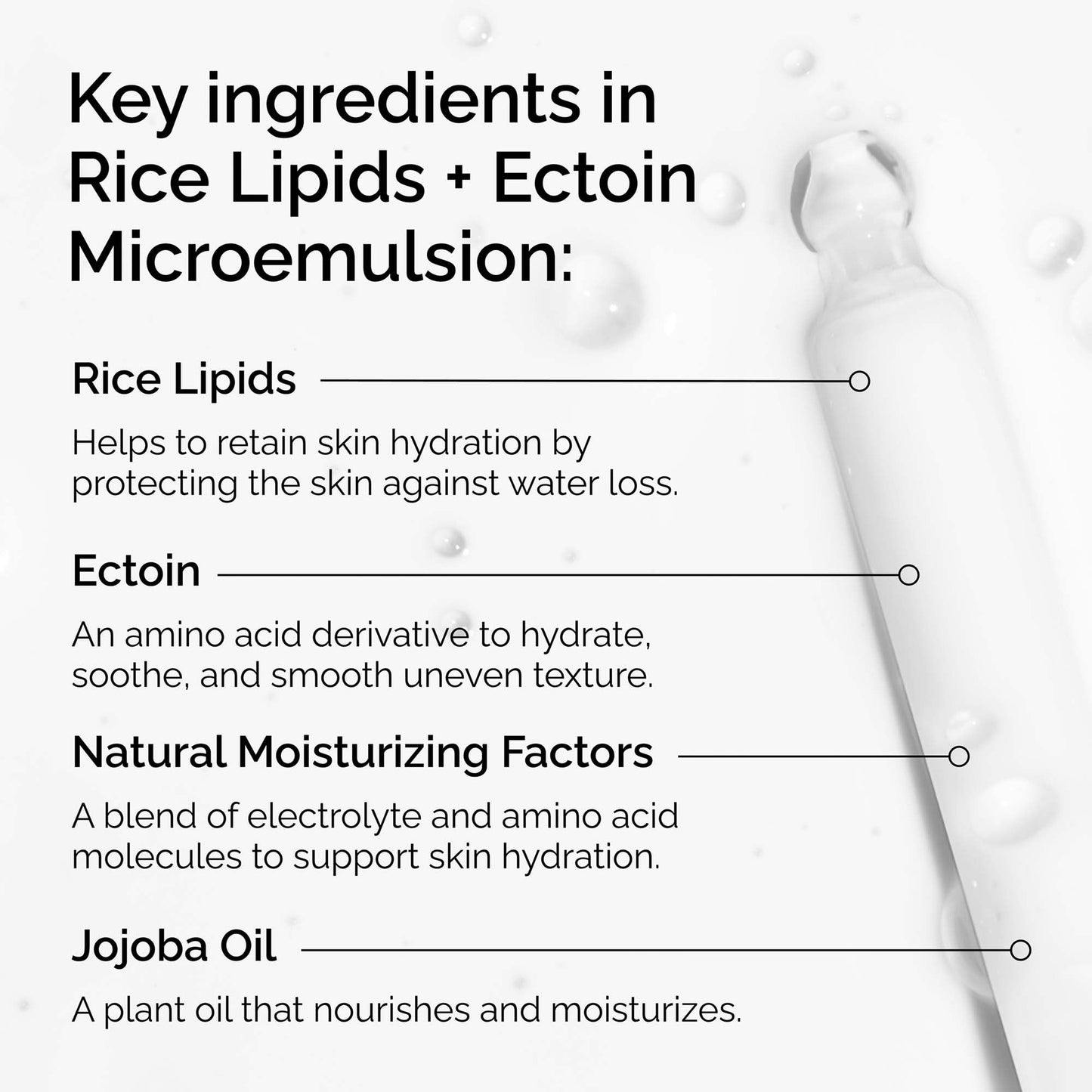 The Ordinary Brighten & Hydrate Bundle - Image 8