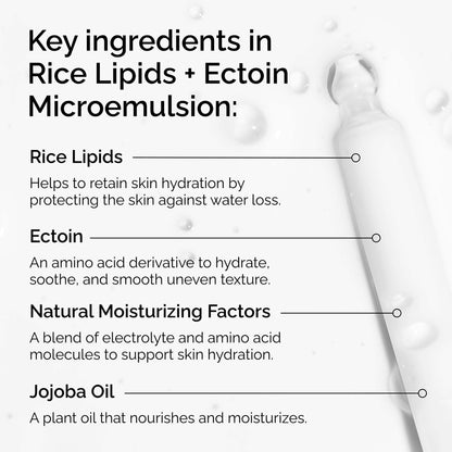 The Ordinary Brighten & Hydrate Bundle - Image 8