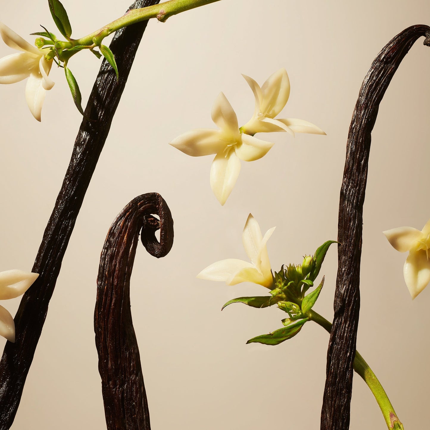 Rituals Private Collection Suede Vanilla Home Perfume - Product Details