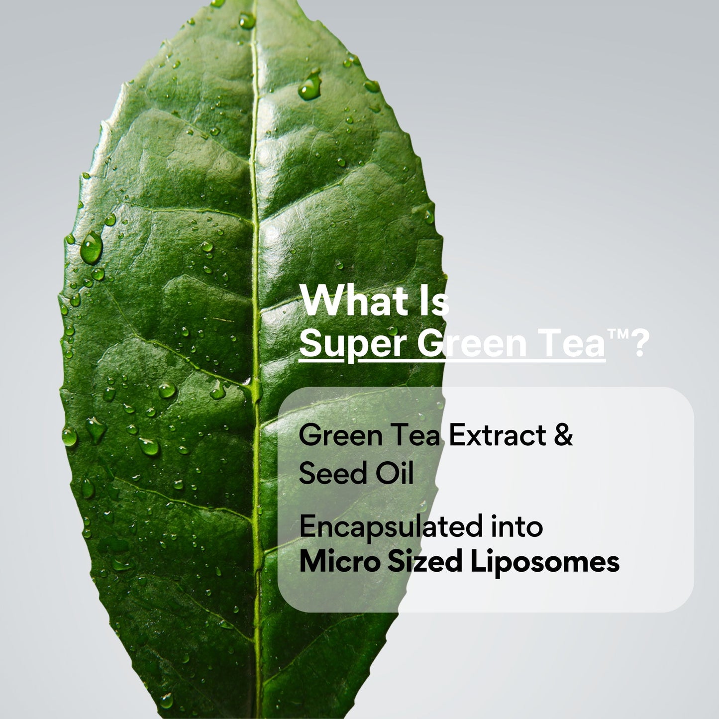 Innisfree Green Tea Ceramide Milk - Image 7