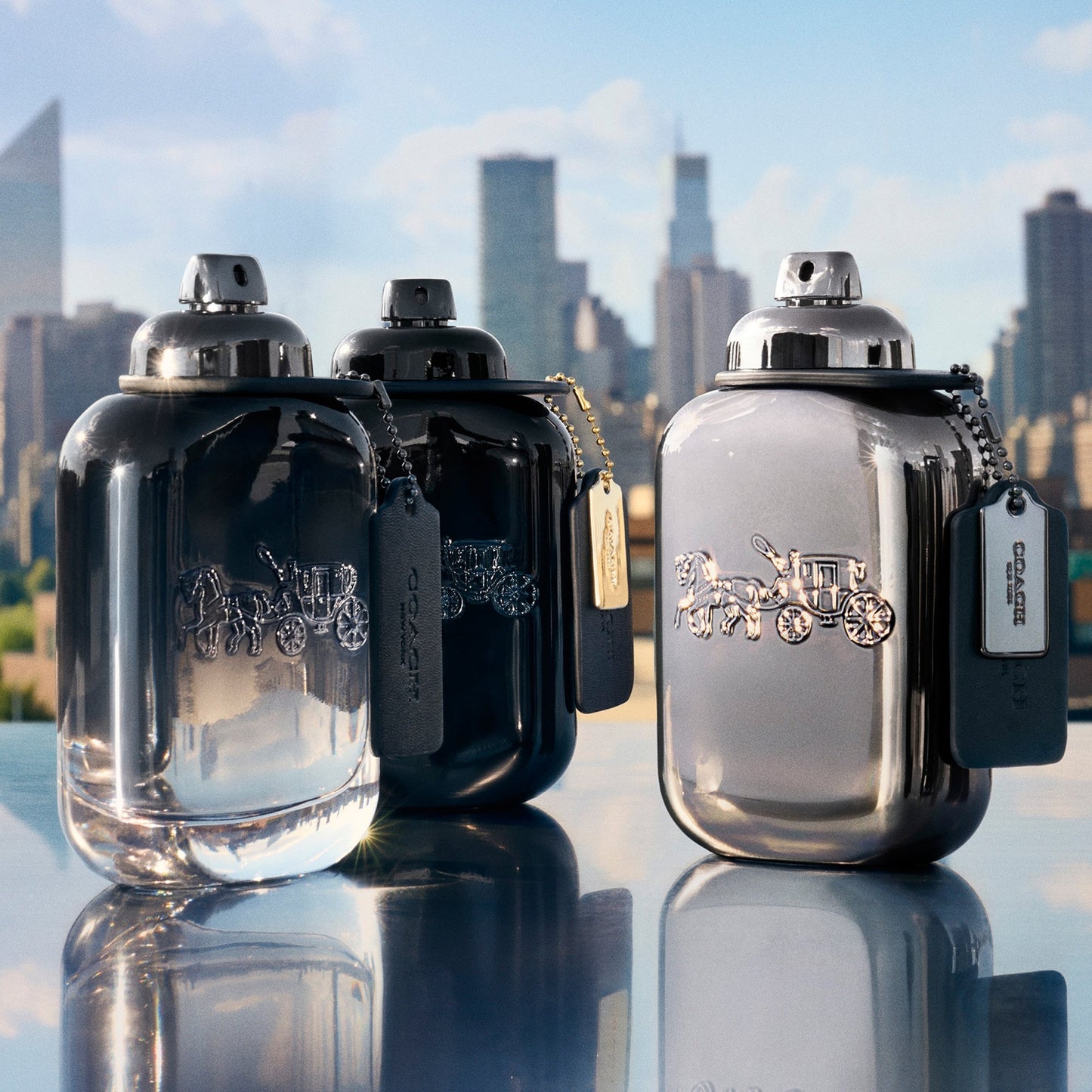 Coach Men Pure Platinum Parfum - Image 5
