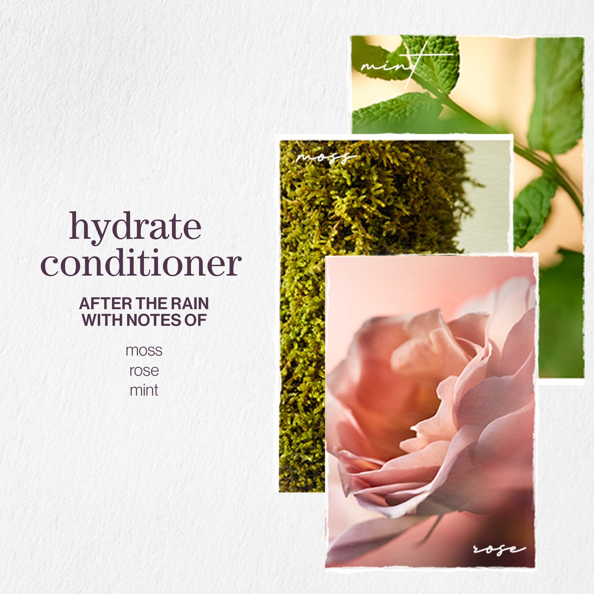 Pureology Hydrate Shampoo and Conditioner Bundle - Image 6