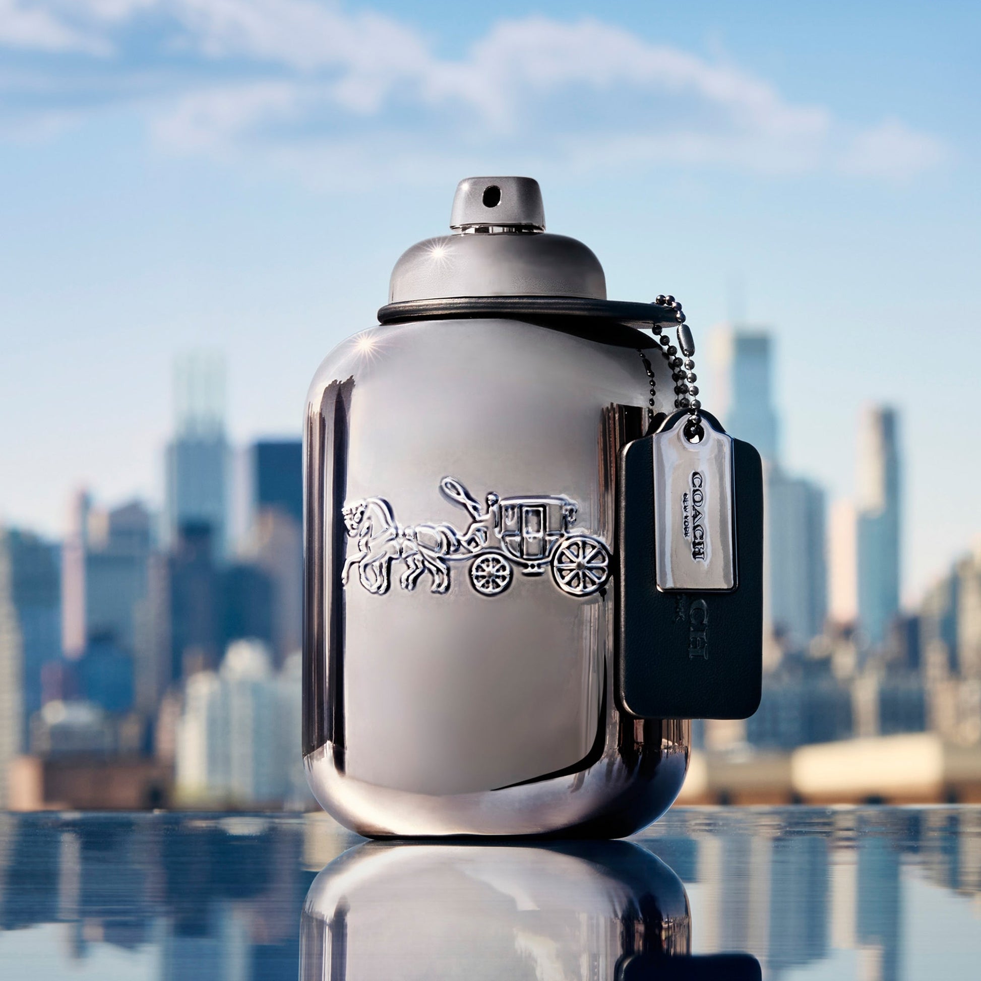 Coach Men Pure Platinum Parfum - Image 4