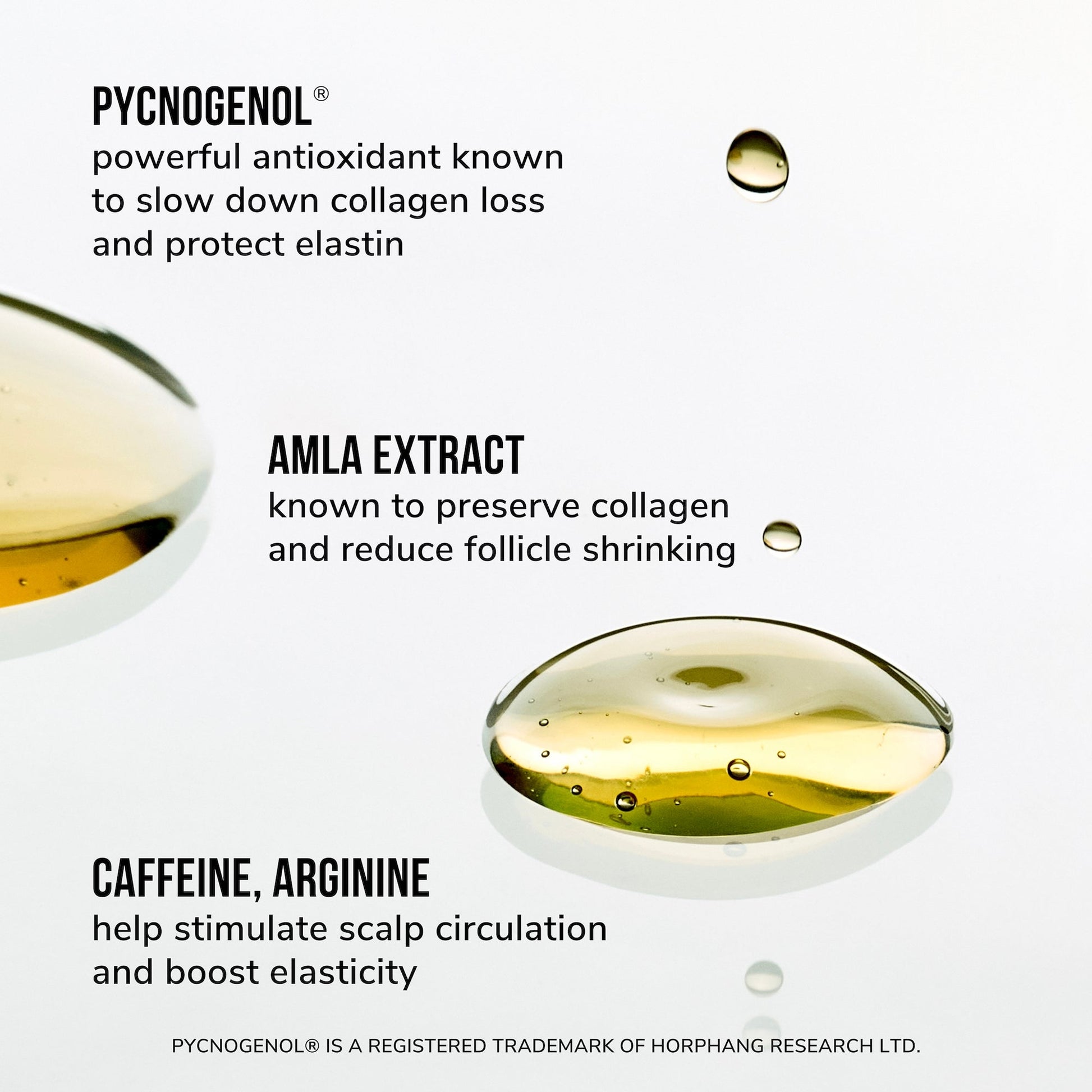Color Wow Youth Juice Collagen Scalp Treatment - Image 7