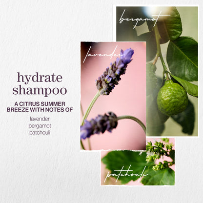 Pureology Hydrate Shampoo and Conditioner Bundle - Image 7