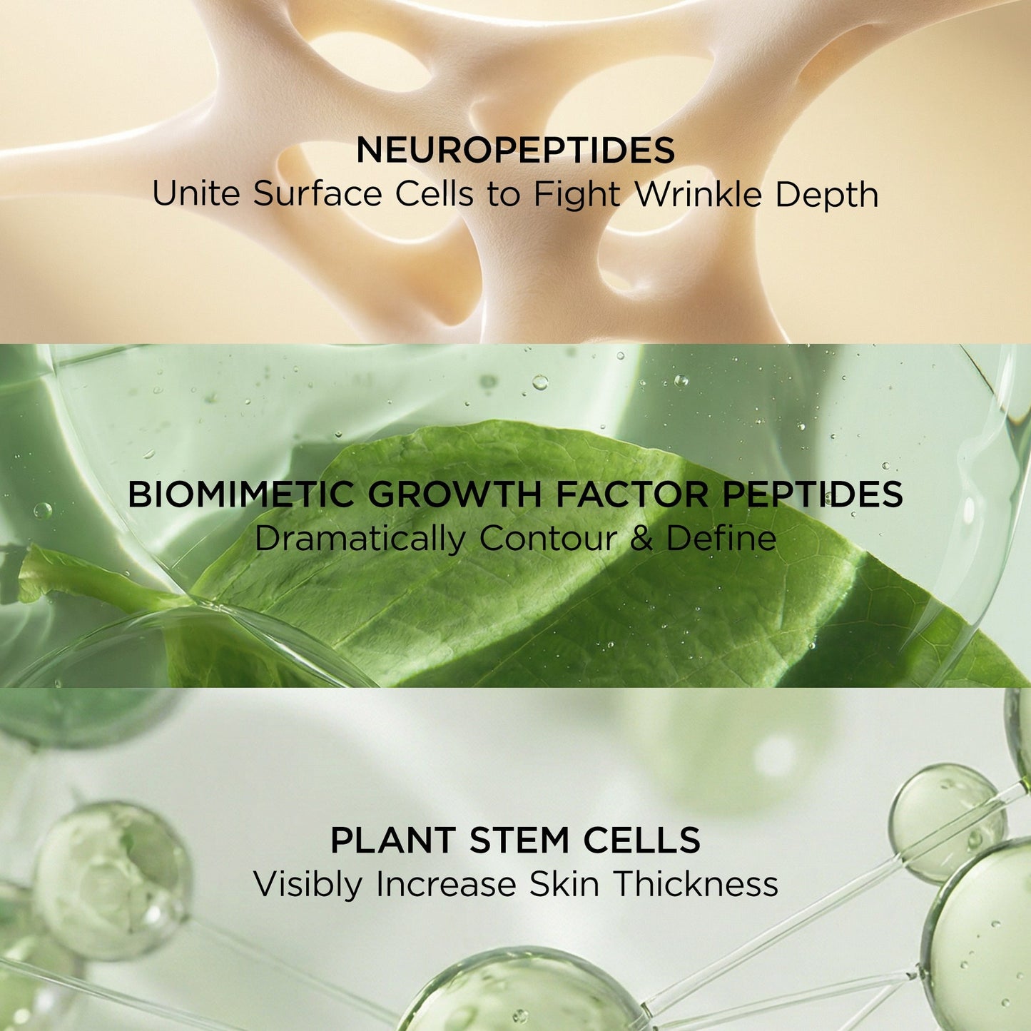 Perricone MD Neuropeptide Deep Crease Serum - Image 5